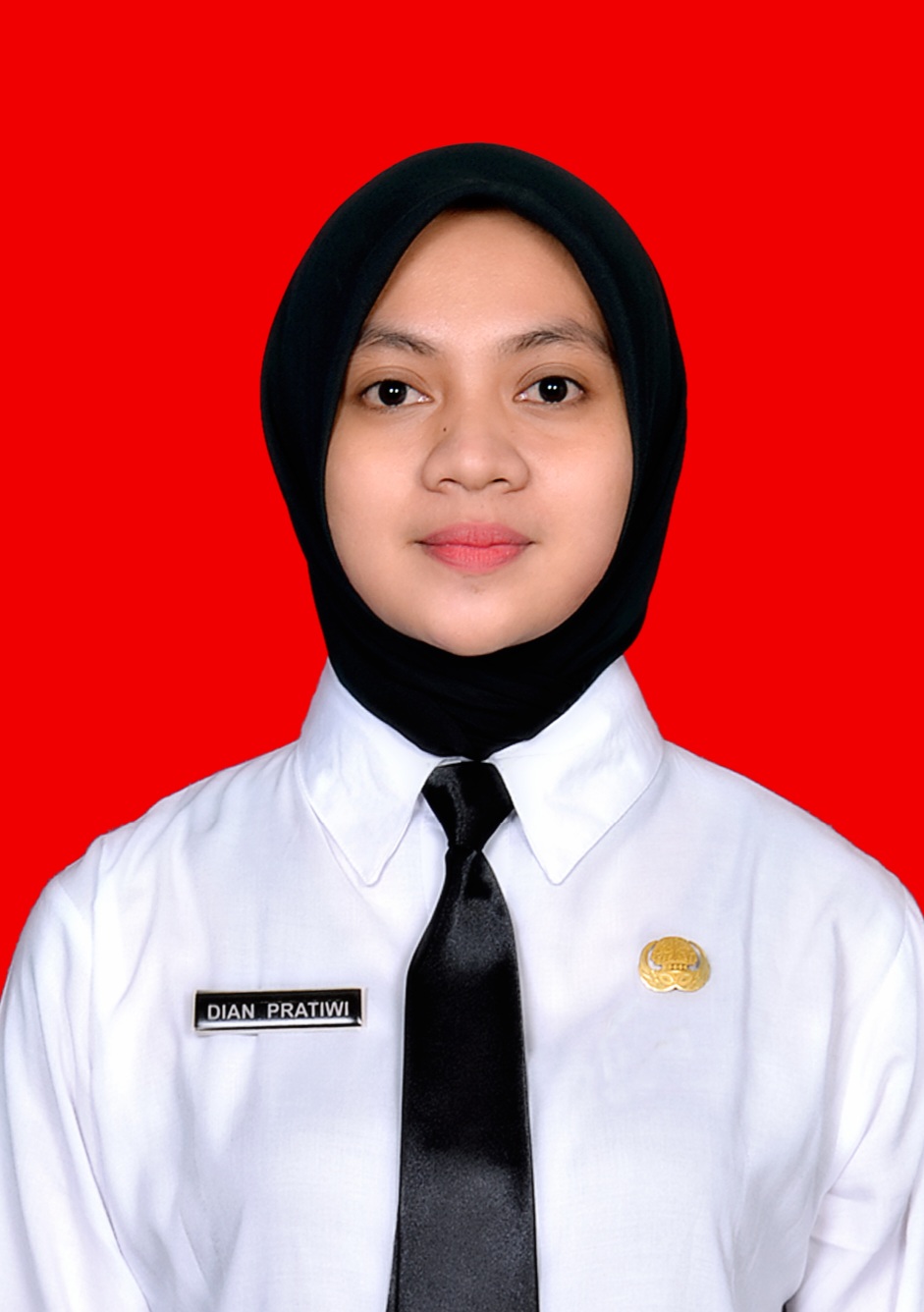 DIAN PRATIWI MAHADING